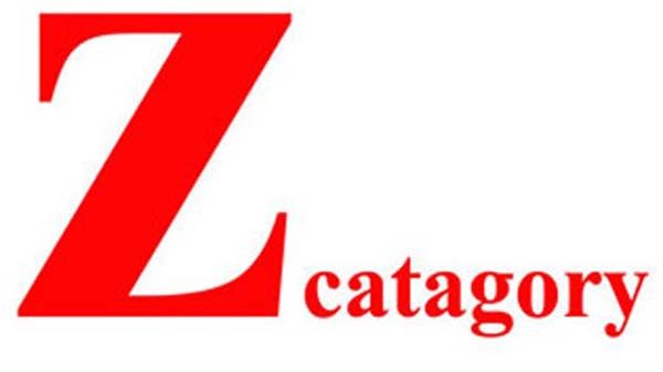 A Z-category